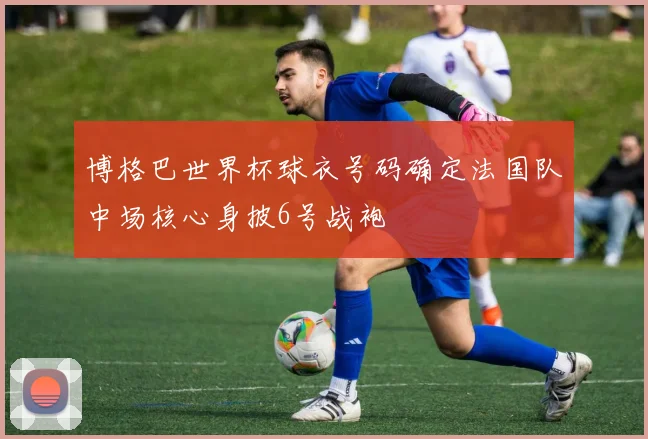 博格巴世界杯球衣号码确定法国队中场核心身披6号战袍
